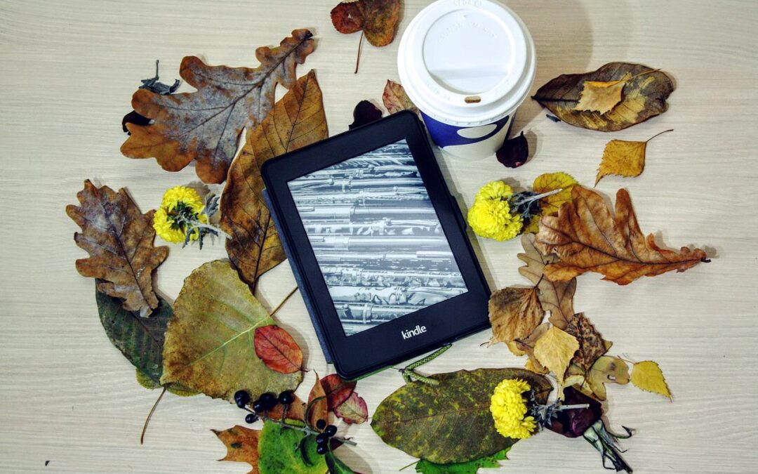 Amazon’s Kindle Fire: Why It’s Cool, and What It’s Missing (A Kindle Fire Review)